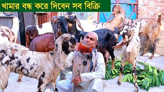 সৌখিন খামারী খামার বন্ধ করে দিবেন সব ছাগল নিতে পারেন goat farm