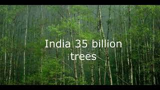 Top 10 countries with the most trees