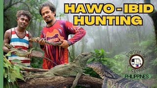 Hunting Hawo (Monitor lizard) and Ibid (Sailfin lizard) With Aeta Tribe