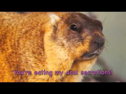 Natural Flavoring Made From Anal Secretions of Beavers?