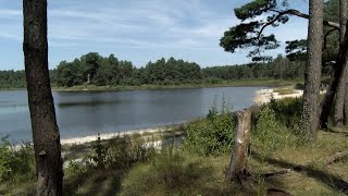 14.08.2020.ХАЕС. Екологічний тур заповідними місцями зони спостереження.