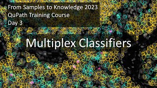 Multiplex classifiers