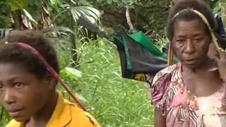 Crocodile Education & Awareness