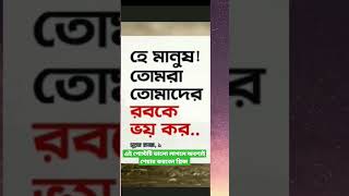 আল্লাহ মহান যিনি আমাদের সৃষ্টি করেছেন এবং দয়ালু ও ক্ষমাশীল