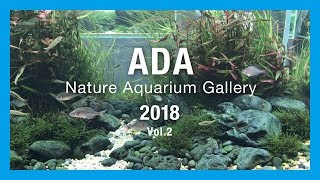 【ADA Nature Aquarium Gallery】ADA ネイチャーアクアリウムギャラリー2018 vol.2