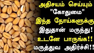 கோதுமை சப்பிடுவீங்களா? மருத்துவ அதிசயம்!|Wheat Health Benefits in Tamil| Kothumai Health Tips Tamil