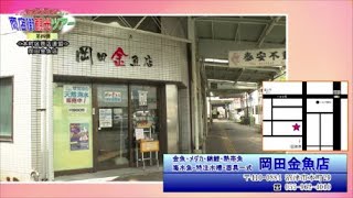 403/オンライン商店街観光ツアー　岡田金魚店