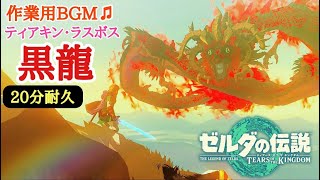 【作業用BGM🎵】ティアキン・ラスボス   黒龍 / Demon Dragon (Final Boss Battle) - ゼルダの伝説 ティアーズオブザキングダム