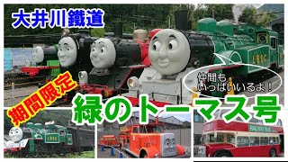 10分でお届け！ 期間限定  緑のトーマス 大井川鐵道  2021年6月