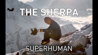 Real life X-men: Biology of the world's greatest climbers - the Sherpa