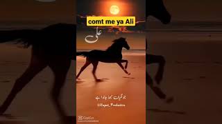 Bara Lajpal Ali | Bara Lajpal Hai Ali | Qaseeda | 😊 #attitude #urdupoitry #shortvideo