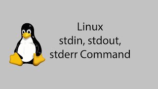 Learn Linux #22 - stdin, stdout, stderr Command