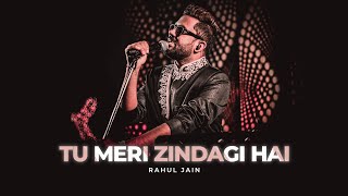 Tu Meri Zindagi Hai - Unplugged Cover | Rahul Jain | Aashiqui