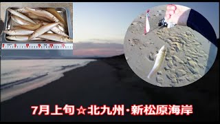 【7月上旬】☆北九州★サーフでちょい投げの様子♪