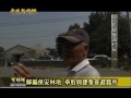 雲林新聞網 元長後湖防風林地解編