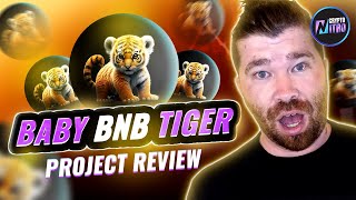 Baby BNB Tiger Project Review 2023: A coin that will benefit animals especially tigers