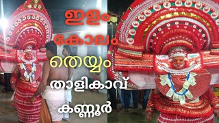 ഇളംകോലം തെയ്യം/ilamkolam theyyam Thalikkavu Kannur/இளம் கோலம் தெய்யம்