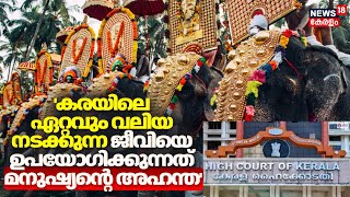 കരയിലെ ഏറ്റവും വലിയ നടക്കുന്ന ജീവിയെ ഉപയോഗിക്കുന്നത് മനുഷ്യന്റെ അഹന്ത, രൂക്ഷ വിമർശനവുമായി ഹൈക്കോടതി