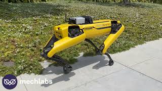 Robotics Bootcamp: Boston Dynamics Spot