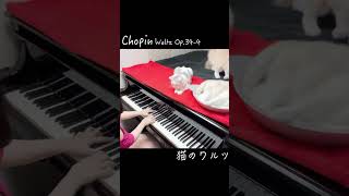 Chopin/Waltz Op.34-4/part3 ショパン/猫のワルツ #shorts #piano #cat