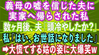 【スカッとする話】嫁いびり義母が夫に嘘を吹き込み「反省しろ！」と実家へ帰らされた私。数ヶ月後に「頭冷やしたか？」私「はい、今までお世話になりました」→大慌てする姑の姿に大爆笑www【修羅場】