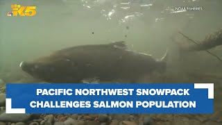 Pacific salmon face no shortage of challenges, shrinking snowpack high among them