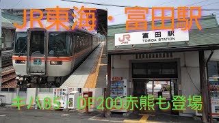 【JR東海関西本線・富田駅】キハ85特急南紀・キハ75快速みえ・DF200RED BEARディーゼル機関車タキ牽引・313系…富田駅、発着・通過シーン…。