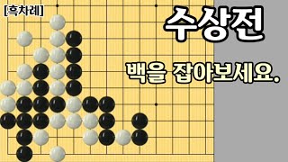 [오늘의 문제]2021-7-17 / 백을 잡아보세요.