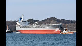 ケミカルタンカー「SOUTHERN VULTURE」因島大橋通過　令和6年2月2日