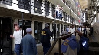 See the startups developed in prison