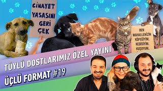 Tüylü Dostlarımız Özel Yayın | Üçlü Format #18