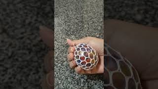 Rainbow Mesh Squishy Stress Ball #shorts #asmr #asmrsounds #satisfying #youtubeshorts #stressrelief