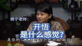 开悟是什么样的感觉？ | 杨宁老师