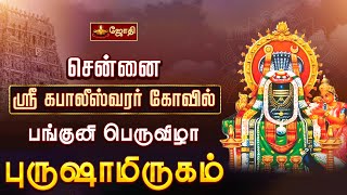 சென்னை மயிலை ஸ்ரீகபாலீஸ்வரர் கோவில் - பங்குனி பெருவிழா -  புருஷாமிருகம் | kabaleeshwara temple