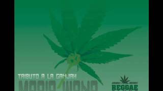 Caliajah - Legalizacion