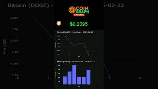 #DOGE Daily Price 02/23/2025 - Bitcoin Chart - Crypto CoinGraph Video Analysis \u0026 Price Trends Today