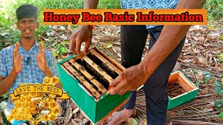 தேனீ வளர்ப்பு #Basic information honey bee/ பகுதி -1#honeybee #bee #agriculture #farming