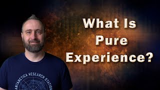 What is Pure Experience?