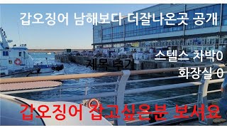 갑오징어 남해보다 더 나오는 서해      잡는법 공개    서해 에서 11월 말  잡을수 있는곳  갑오징어 잡고 싶다면  보셔요