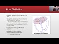 dr rodriguez ecg rounds session 1