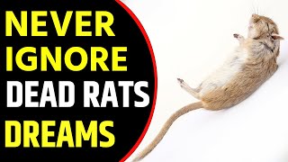 What Does Dead Rat dream Meaning || Dreaming of Dead Rats || Dead Rat Dreams Interpretation