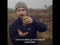 The CANN Project Short Film - The Importance of Peatlands