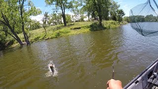 2017   Skokie Lagoons   3 4lbs Caught on Jig