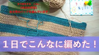 自分用のバッグを編んでいます【本日の手芸】today's handicraft