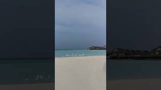 MALDIVE HOLIDAY|BEACH VIEW#shorts #travel #beach