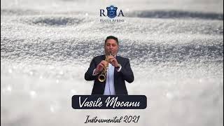 Vasile Mocanu   Instrumental 2021 1