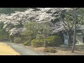 宮城角田市の名所：高蔵寺