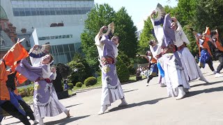 酪農学園大学  よさこいソーラン祭り2024  道庁赤レンガ会場  2024年6月8日