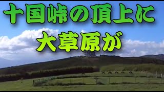 十国峠の頂上に大草原が