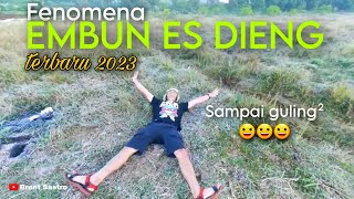 DIENG BEKU...EMBUNPUN MENJADI ES | WISATAWAN TAKJUB GEMBIRA